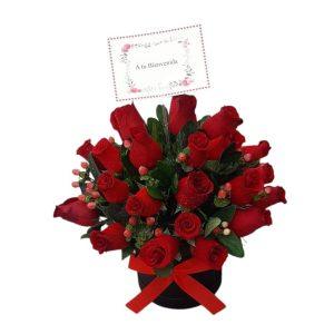 Box de Rosas